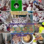 A collage of images showing a large group of people in white clothing sitting on mats, eating a meal. Some images show food being prepared, including a large pot of rice and meat. Text overlays indicate the event is a 'LANGER-E-RASOOL' sponsored by '